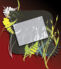 Foliage Text Space 4