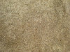 Wall Texture