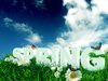 SPRING SEASON