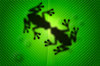 Frog 3