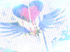 Wings of love