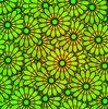 Floral Pattern
