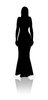 Model Silhouette