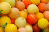 Colourful bobs