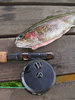 One Trout