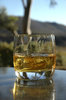 Jameson in the bush