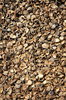 Crushed apricot pits 1