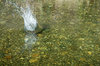 Splash 2