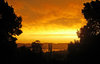 Orange sky