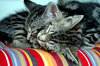 Peaceful Sleep