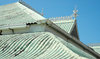 Victorian Profile