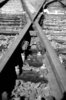 Rail 2