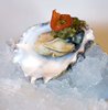 Oyster 2