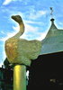Swan