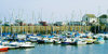 Harbour