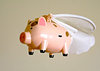 Pig on the Wings
