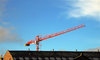 Red crane
