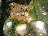 Coins in the water 2