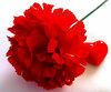 Spreading the love 1