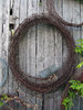Barbed Wire