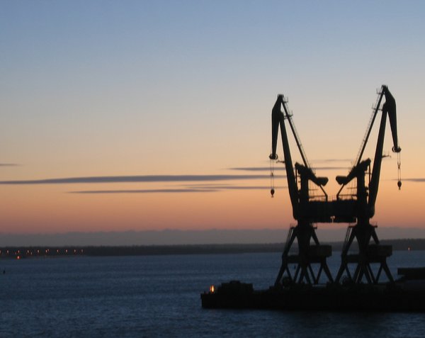 cranes at dawn: cranes at dawn