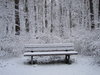 bench in winter forest