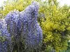colours of nature