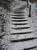 mystic steps
