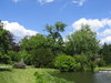park scenery