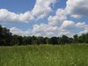 clouded spring meadow
