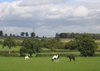 farmland idyll