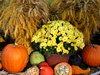 thanksgiving arrangement