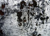 rusty metal texture
