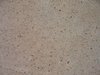 sand stone texture