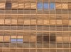 windows and blinds texture