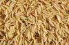 Basmati Rice
