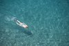 Snorkelling