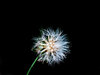 Blow me away!!