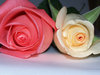 Anniversary Roses
