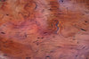 Timber Burl Jarrah