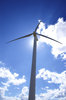 Wind Generation