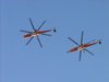 Helicopter Pair