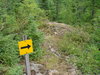 Where to go?