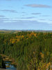 Forest, sky and water