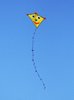 kids kite