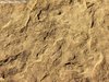 Textures of old romanian house