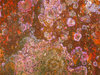 Texture 4