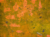 Texture 14