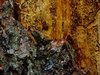 Texture 8