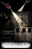 Urban crime